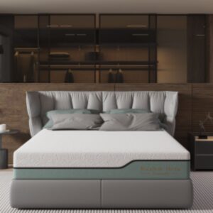 Frances Memory Foam Plush Mattress Standard Length